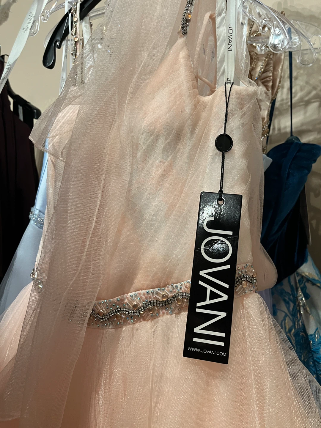 Pink Tulle Ball Gown - photo 4