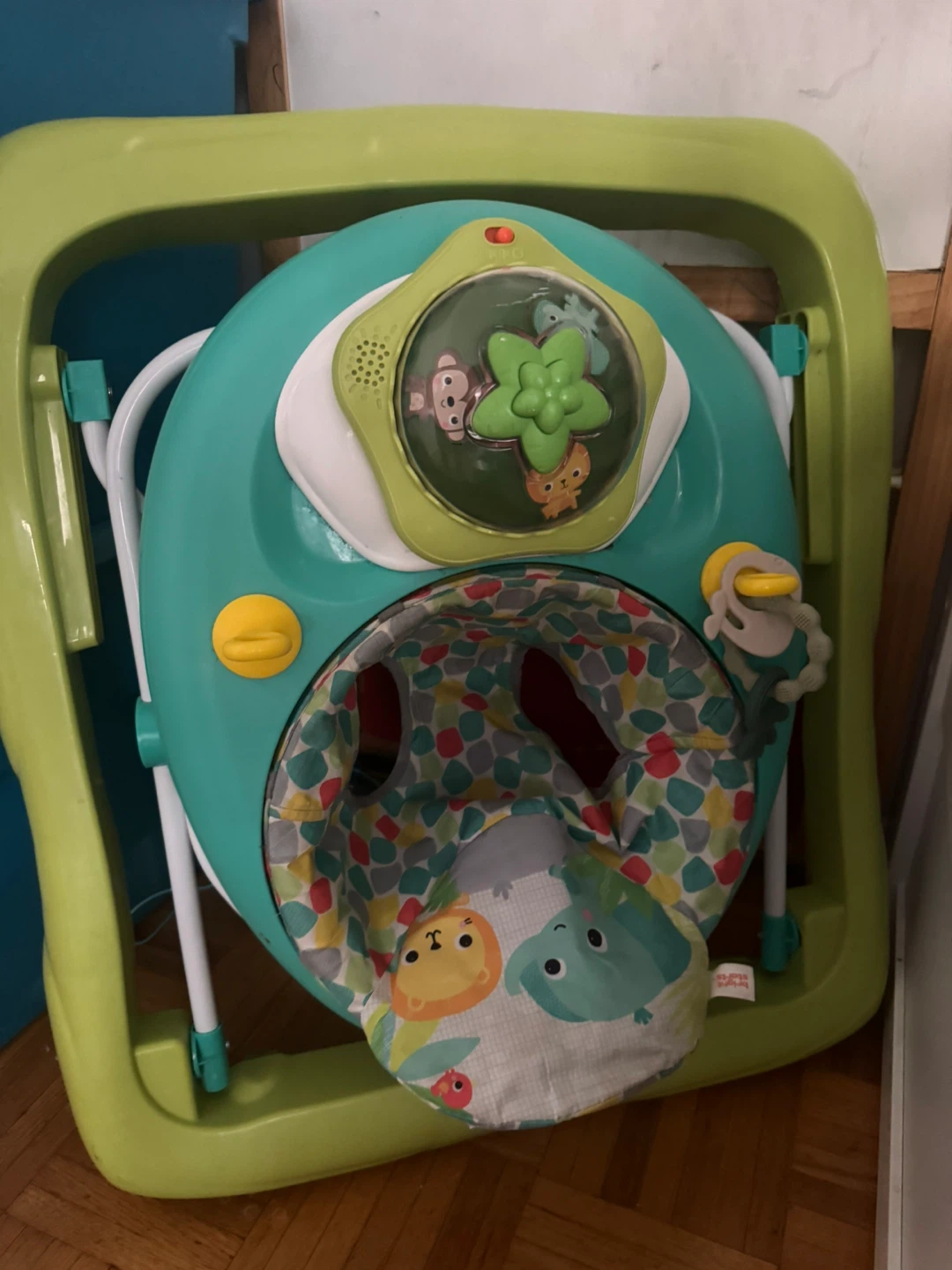 Bright Starts Roaming Safari Activity Walker