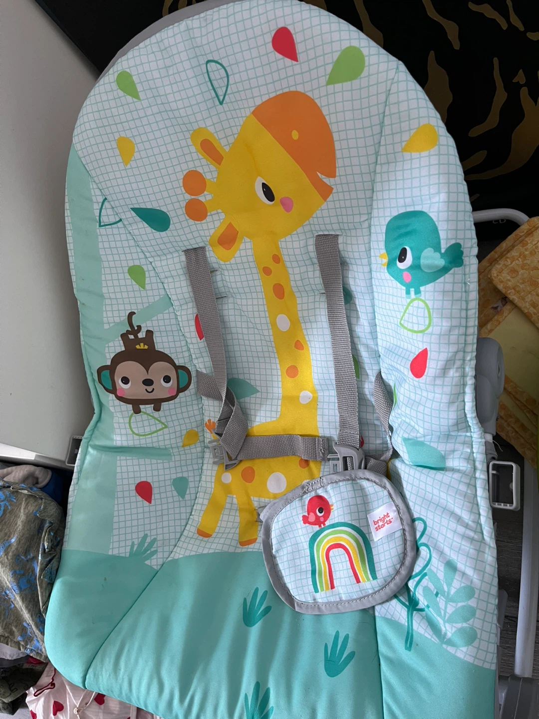 Bright Starts Baby Bouncer Seat