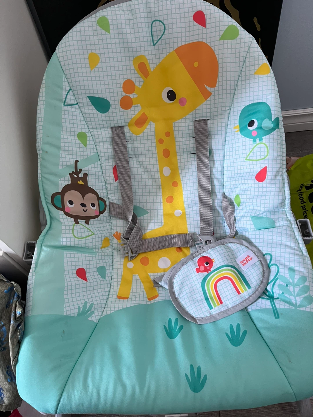 Bright Starts Baby Bouncer Seat - photo 2
