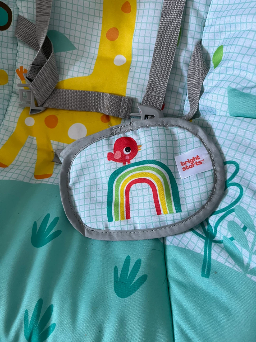 Bright Starts Baby Bouncer Seat - photo 3