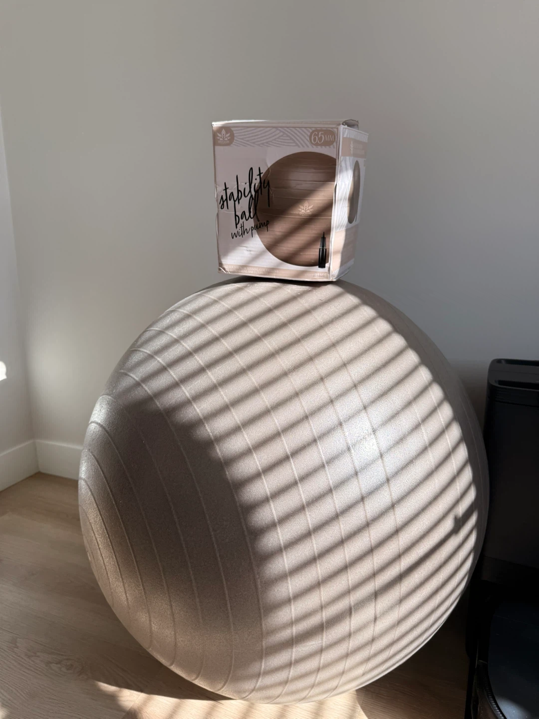 Stability Ball with Pump