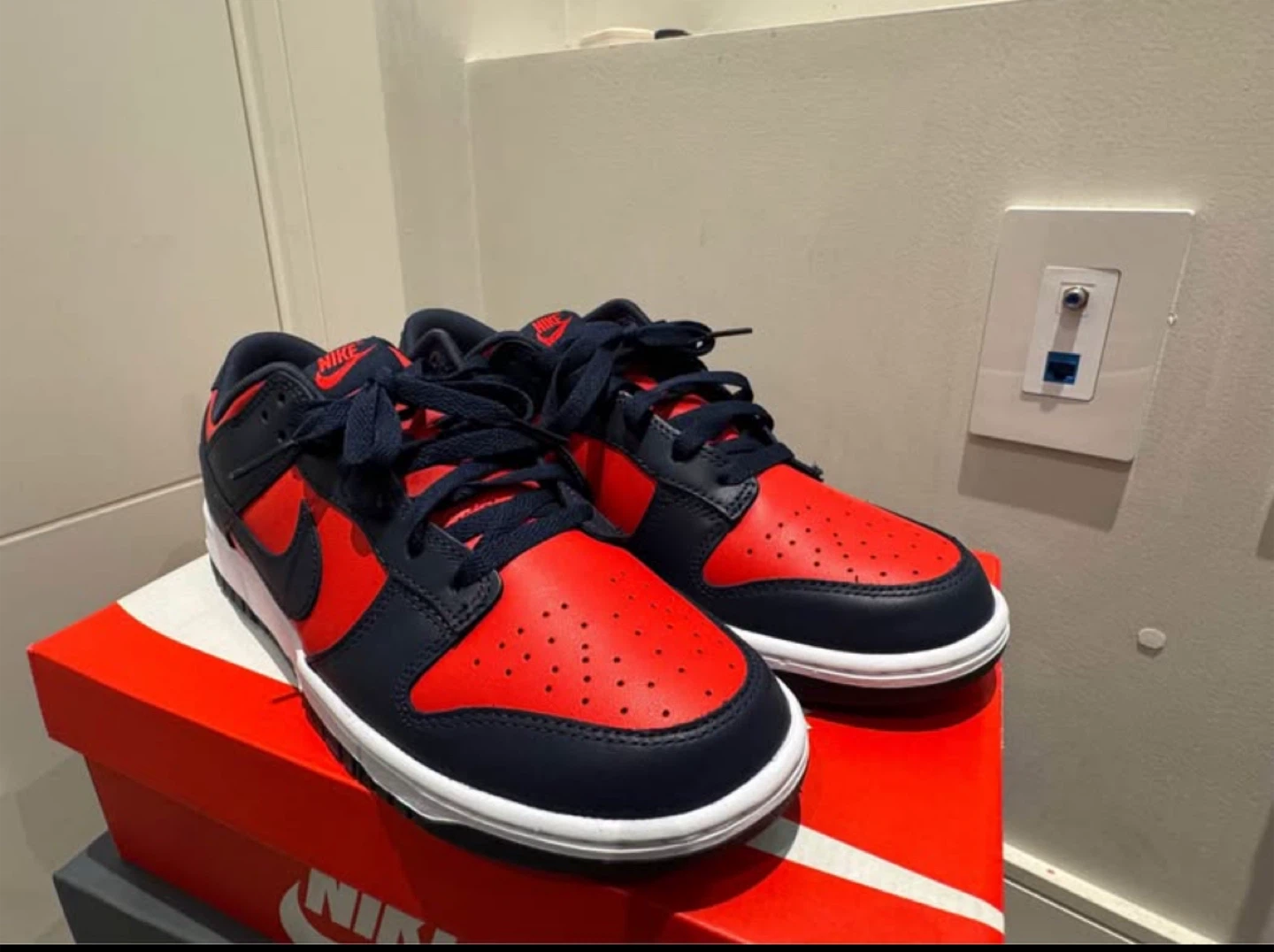Nike Dunk Low Shoes