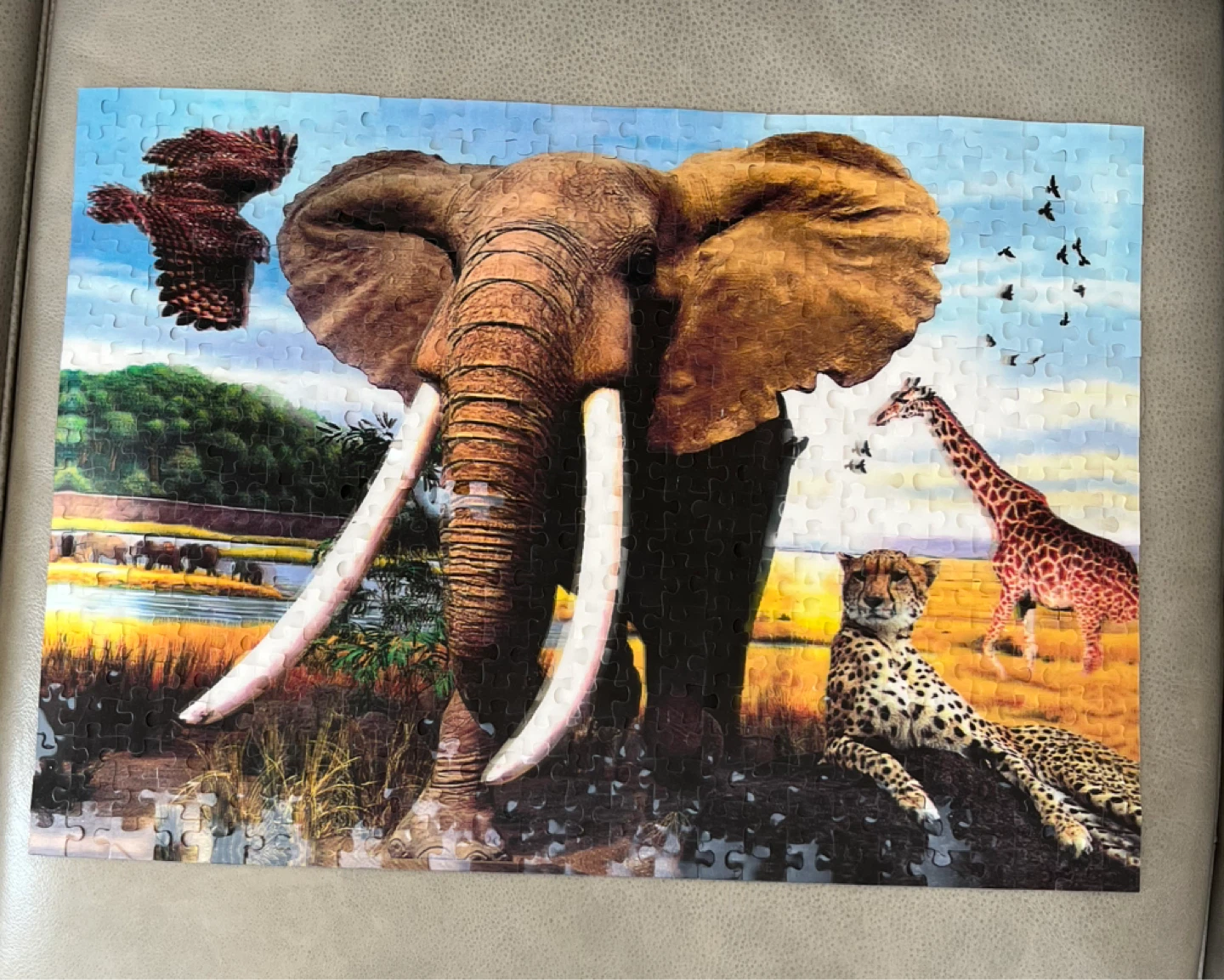 African Wildlife Jigsaw Puzzle 3D