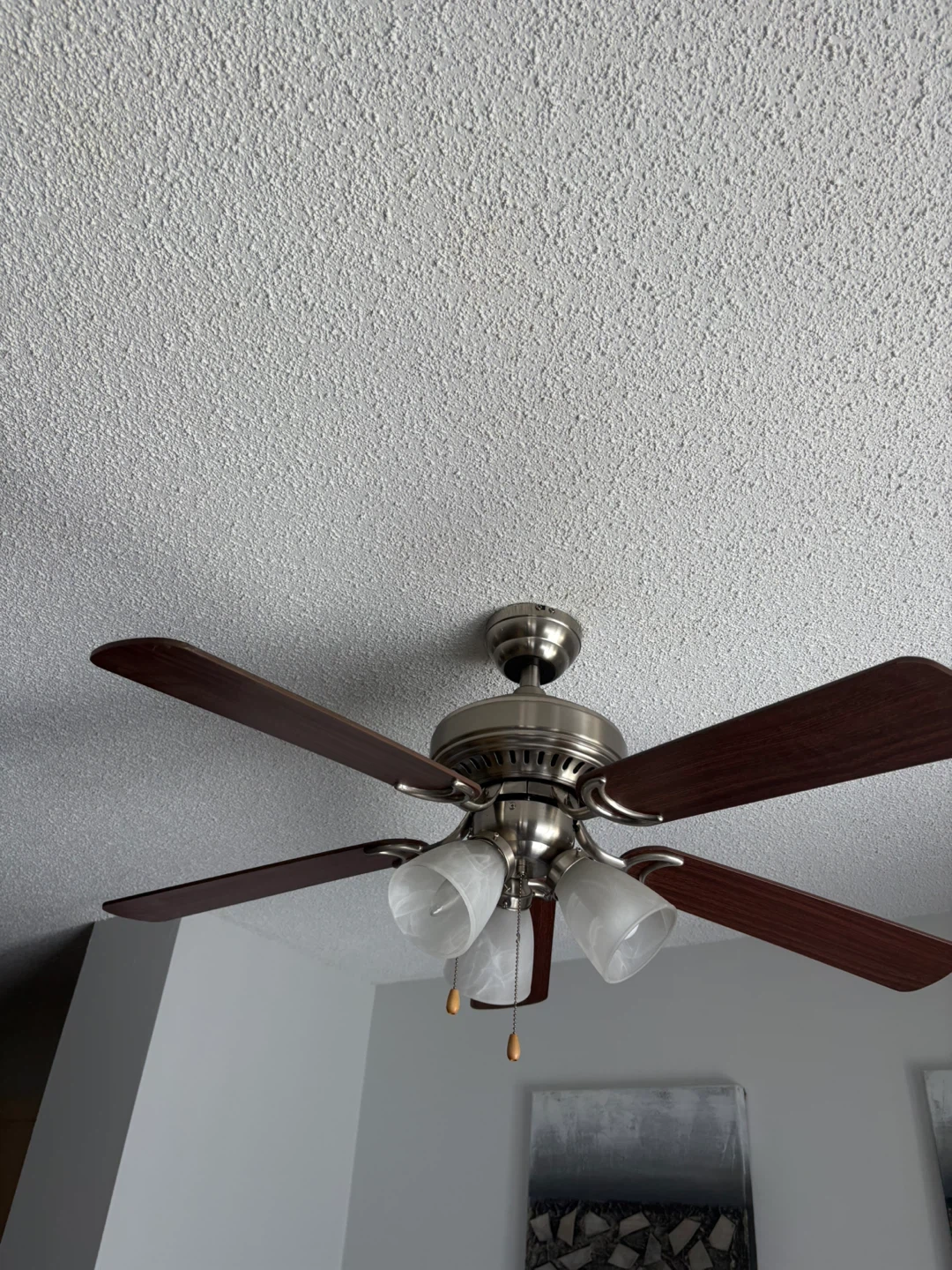 Ceiling Fan with Light Fixture - photo 2