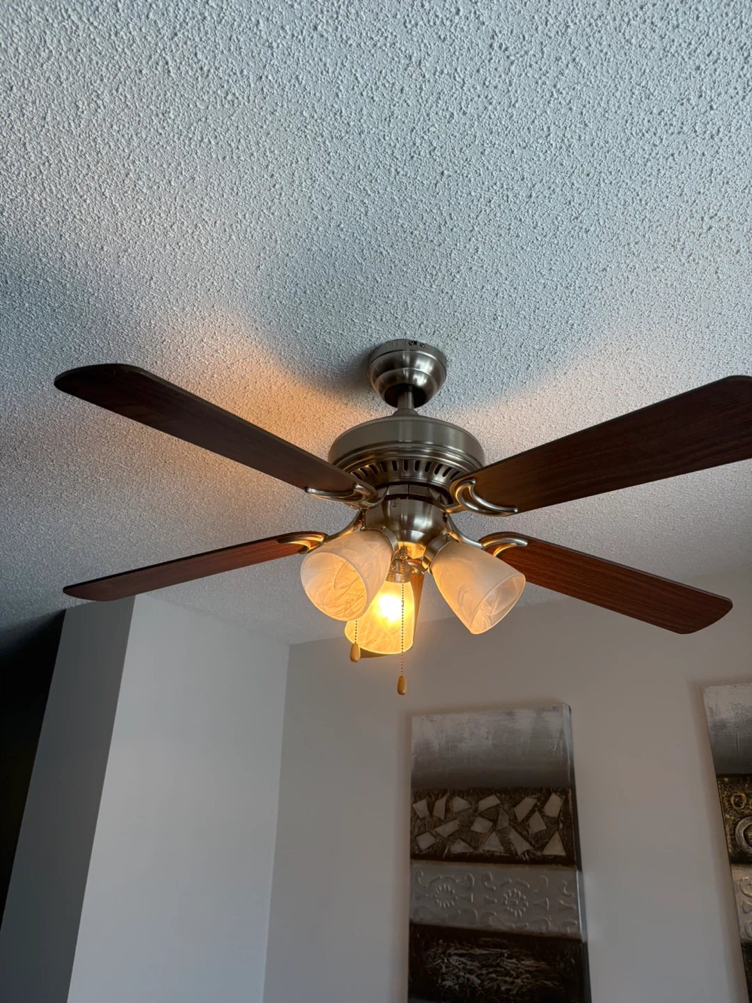 Ceiling Fan with Light Fixture - photo 4