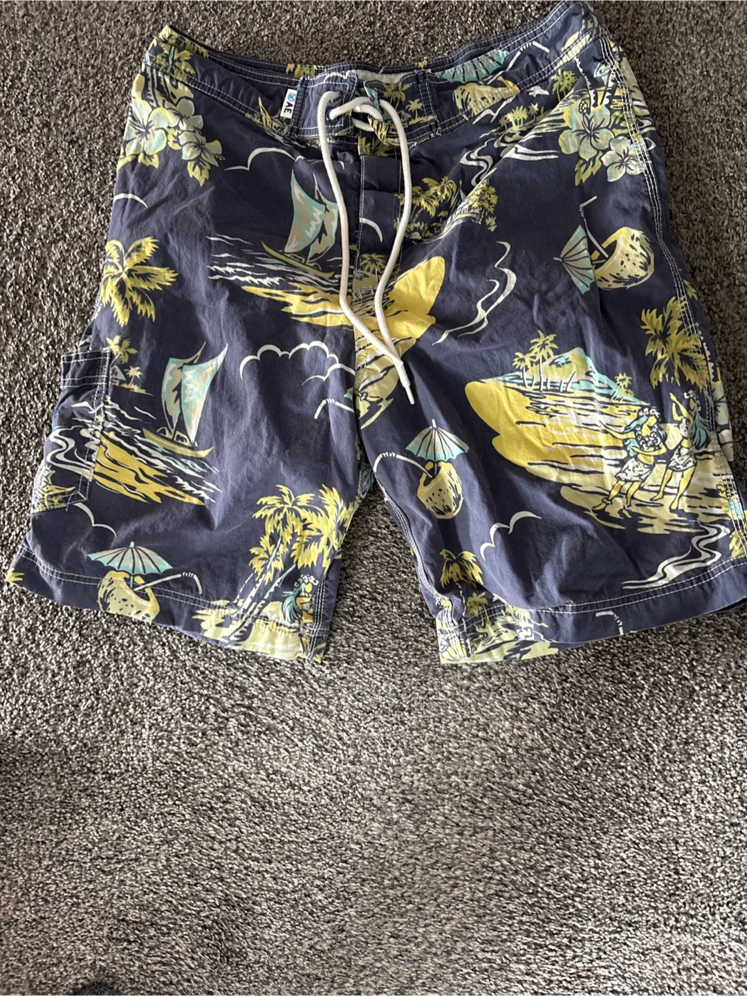 NWOT American Eagle Outfitters Men's Swim Trunks Size 32