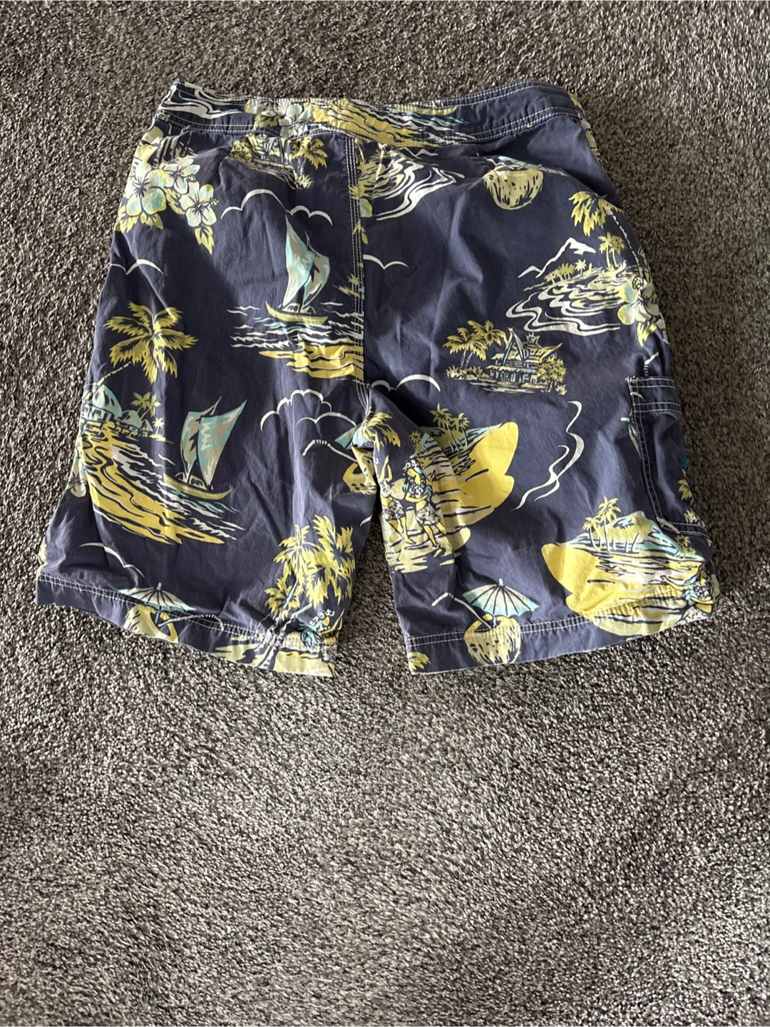 NWOT American Eagle Outfitters Men's Swim Trunks Size 32 - photo 3