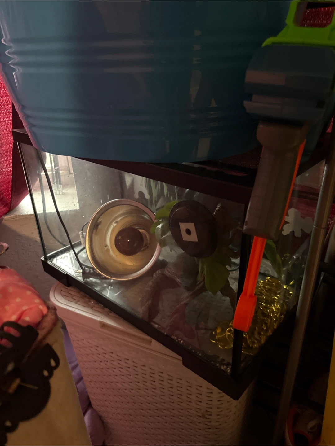Glass Terrarium / Aquarium Tank