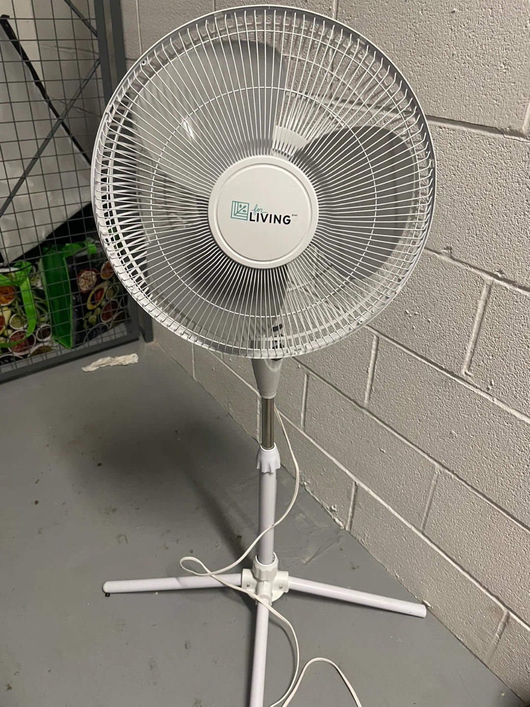 Floor Fan