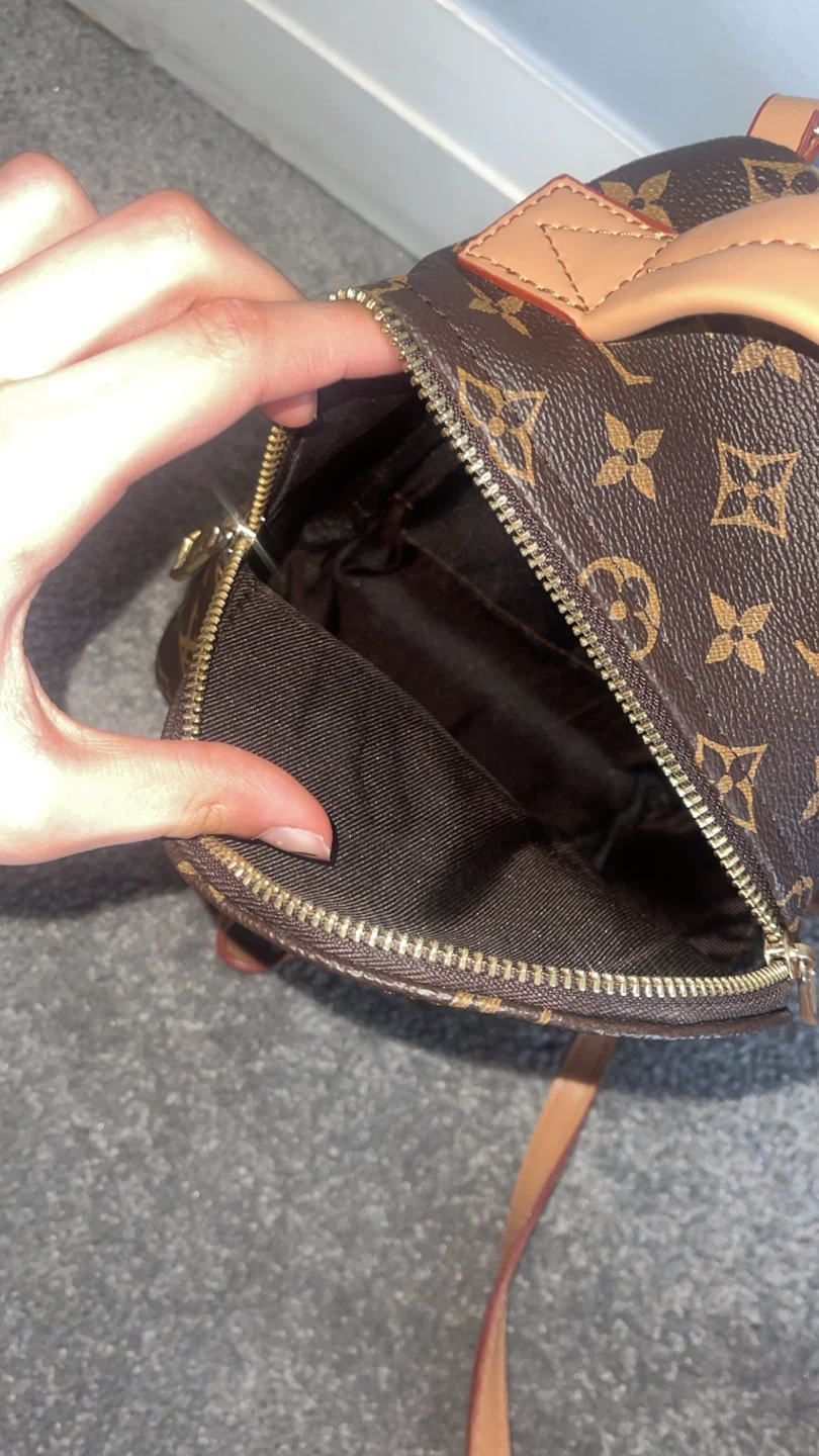 Louis Vuitton Monogram Canvas Mini Backpack - photo 3