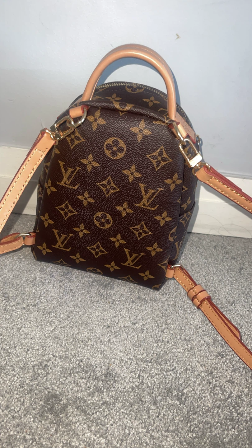 Louis Vuitton Monogram Canvas Mini Backpack - photo 2