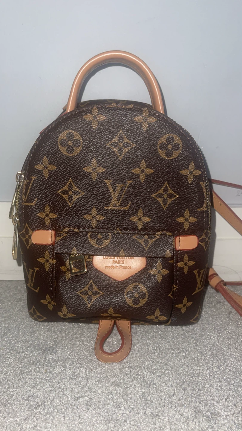 Louis Vuitton Monogram Canvas Mini Backpack