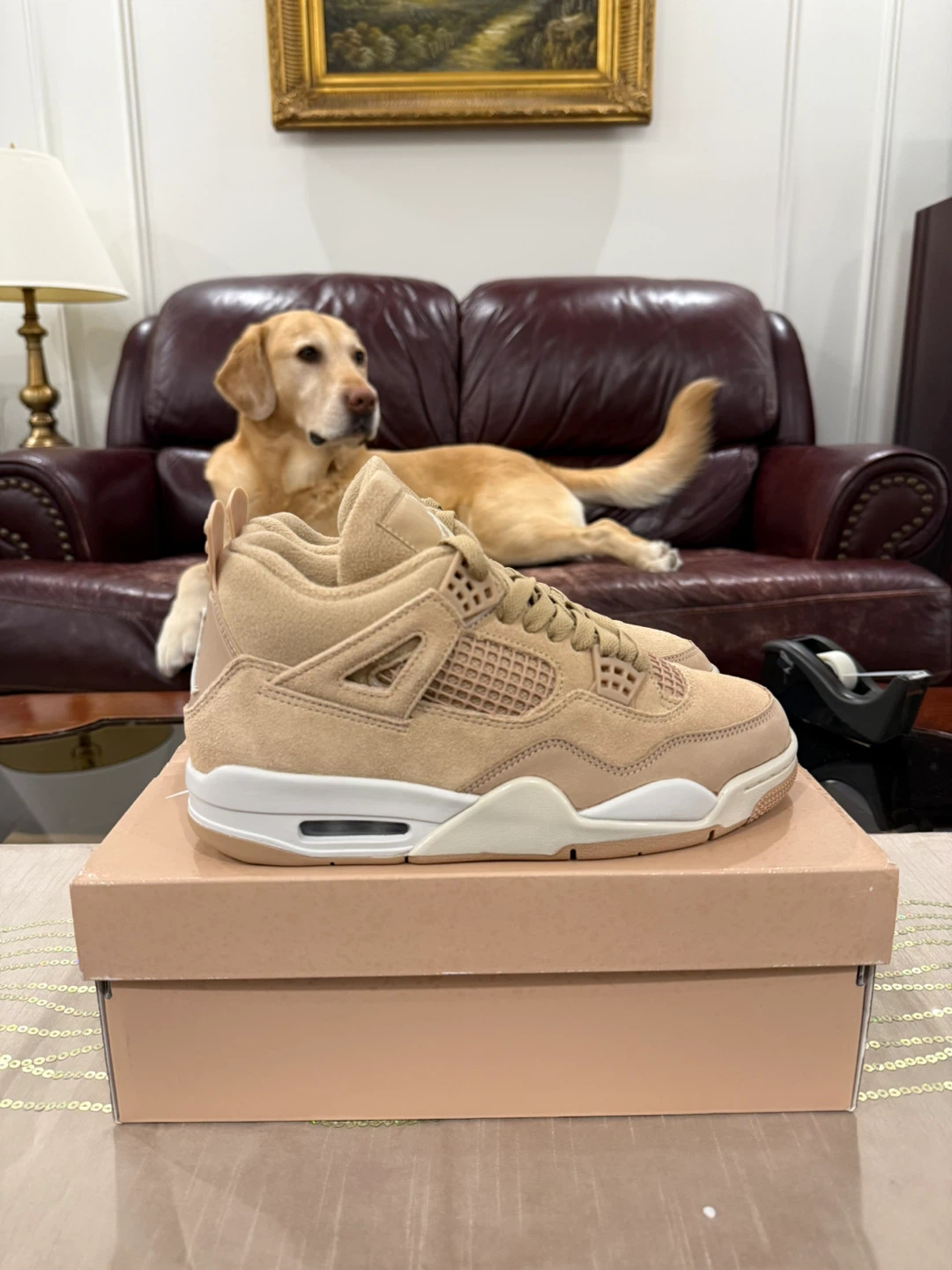 Jordan 4 (Cozy Girl) - photo 3