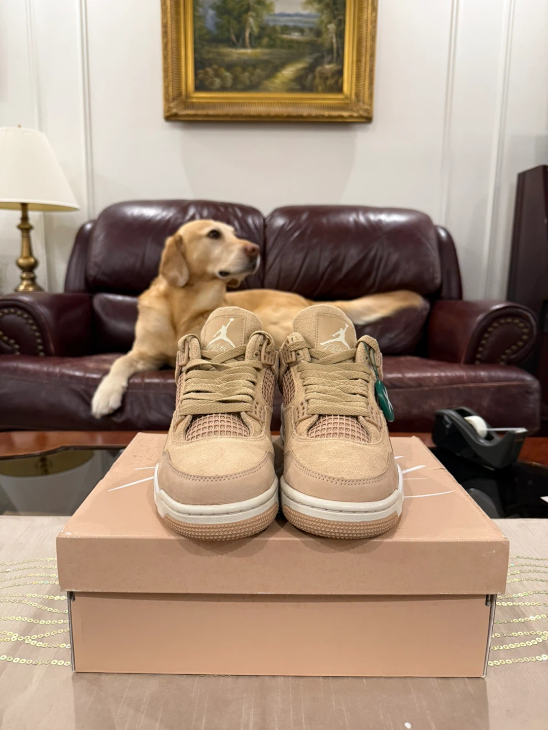 Jordan 4 (Cozy Girl) - photo 2