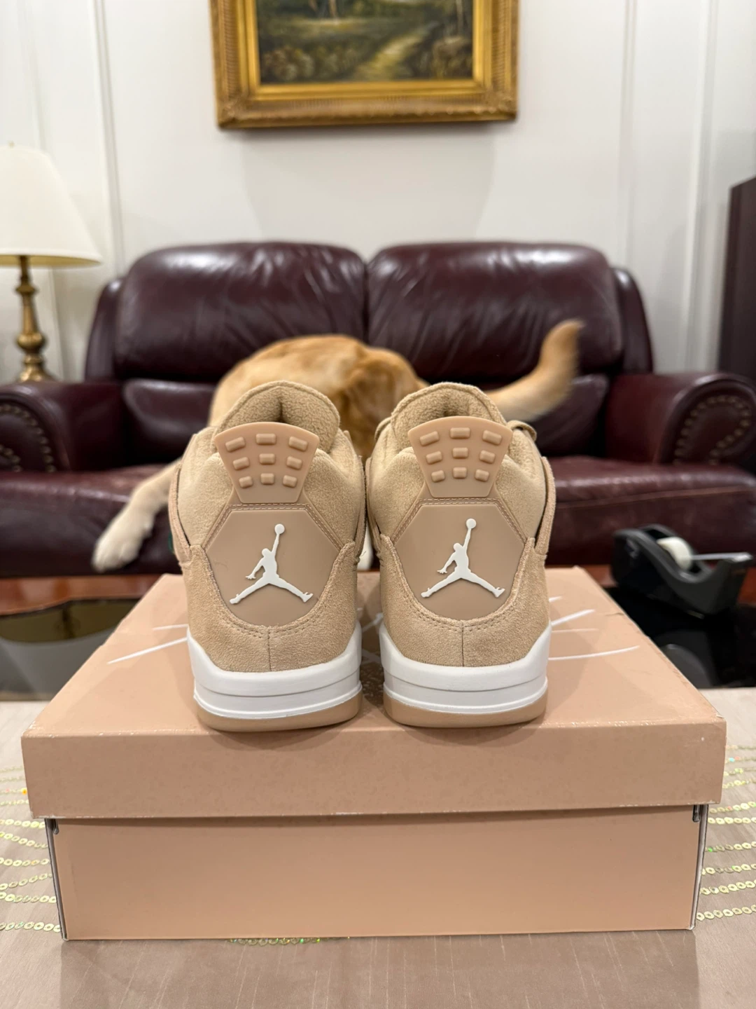 Jordan 4 (Cozy Girl) - photo 4
