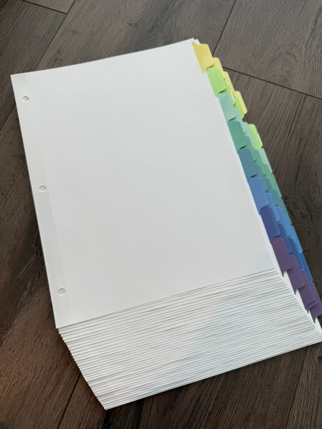 Binder Dividers with Lined Paper