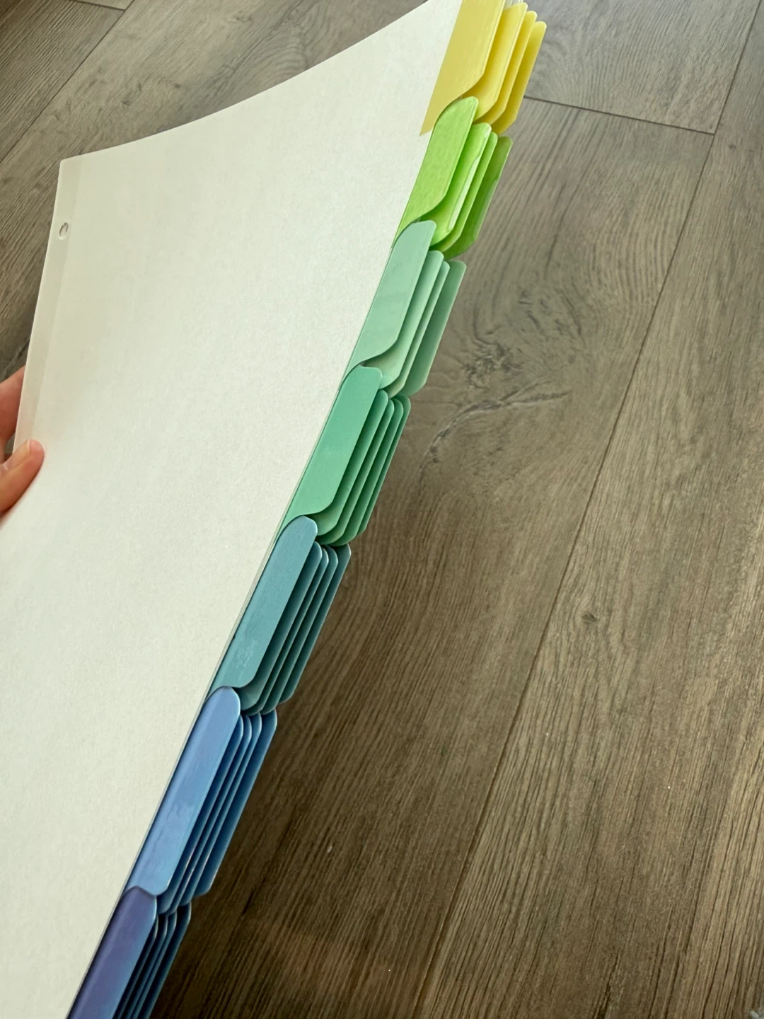 Binder Dividers with Lined Paper - photo 2