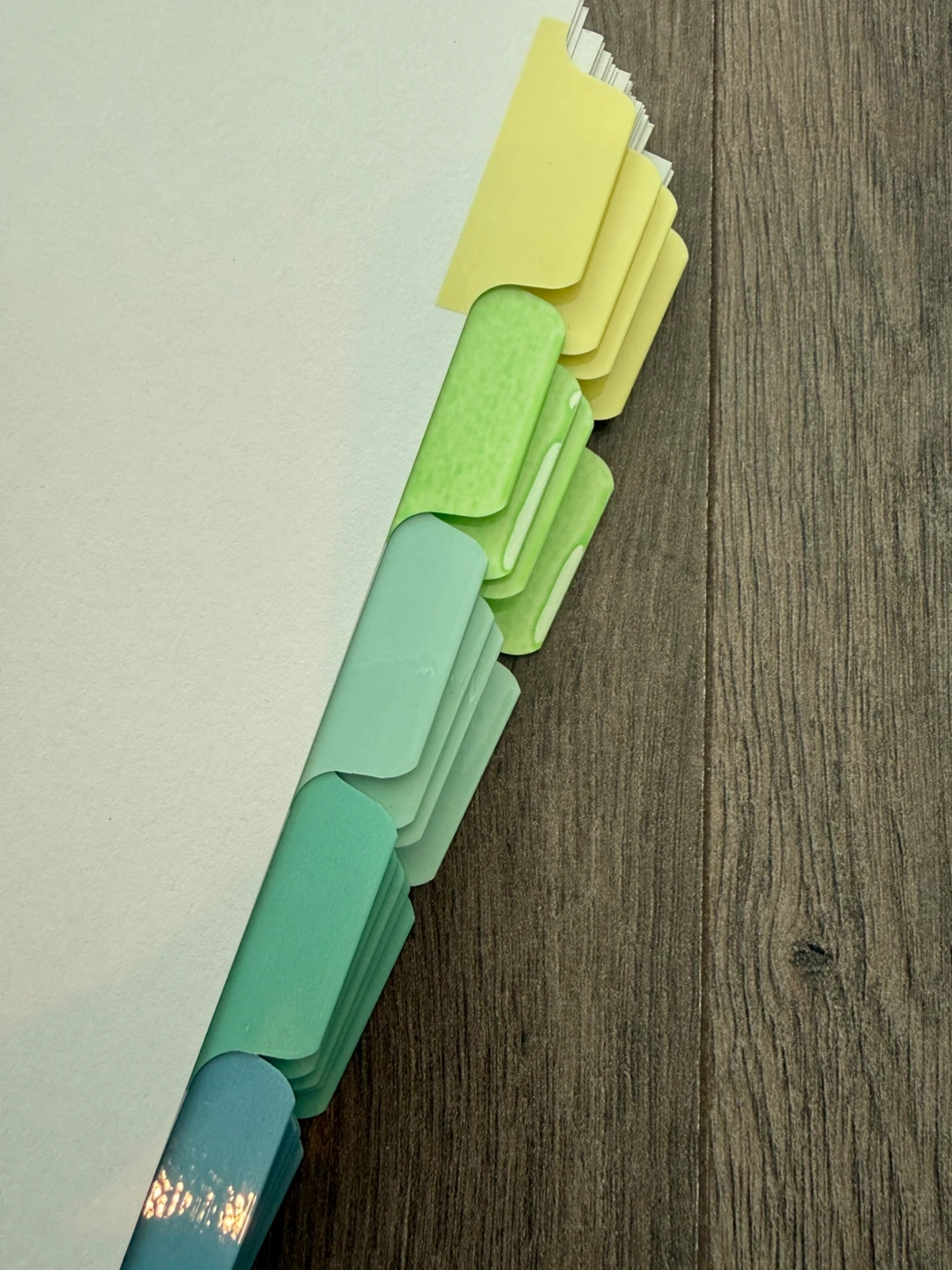 Binder Dividers with Lined Paper - photo 3