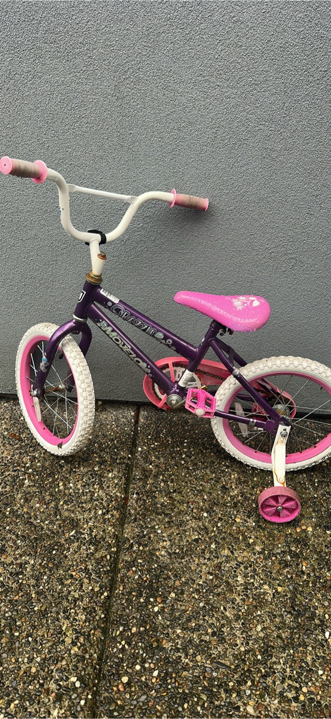 Kids' Tricycle / Bike - Purple and Pink