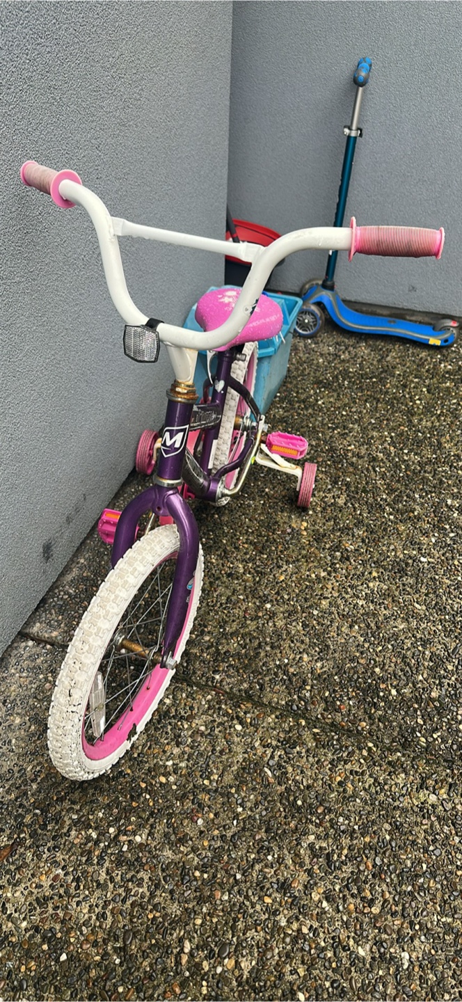 Kids' Tricycle / Bike - Purple and Pink - photo 2