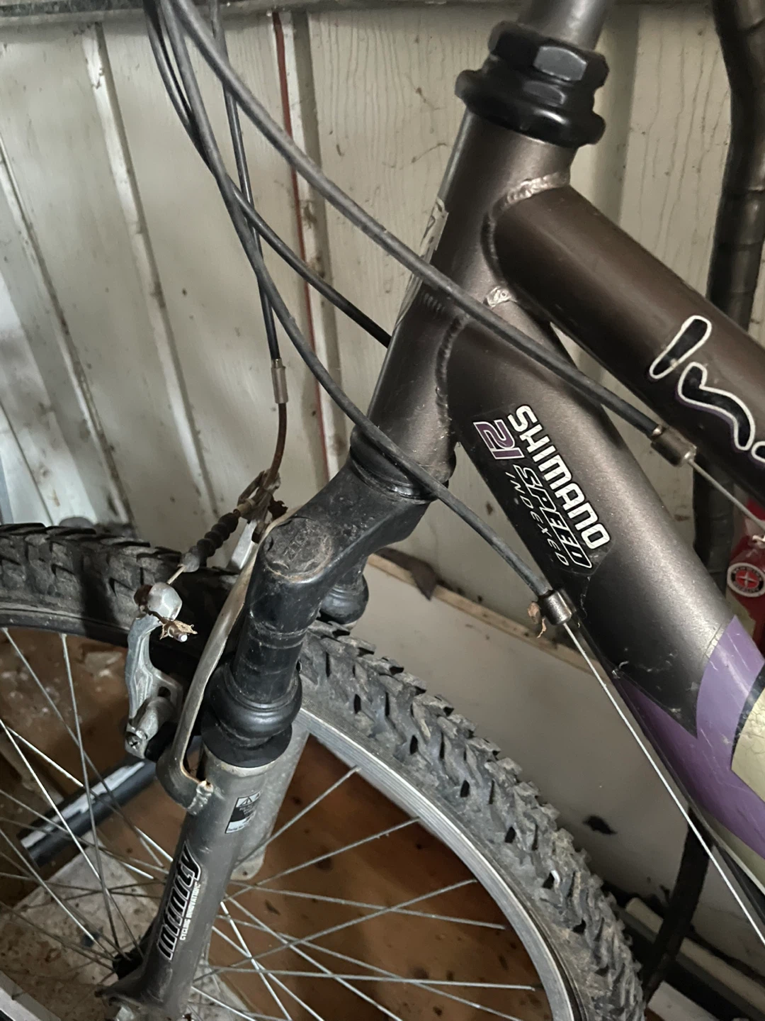 Bicycle 🌱 - photo 3