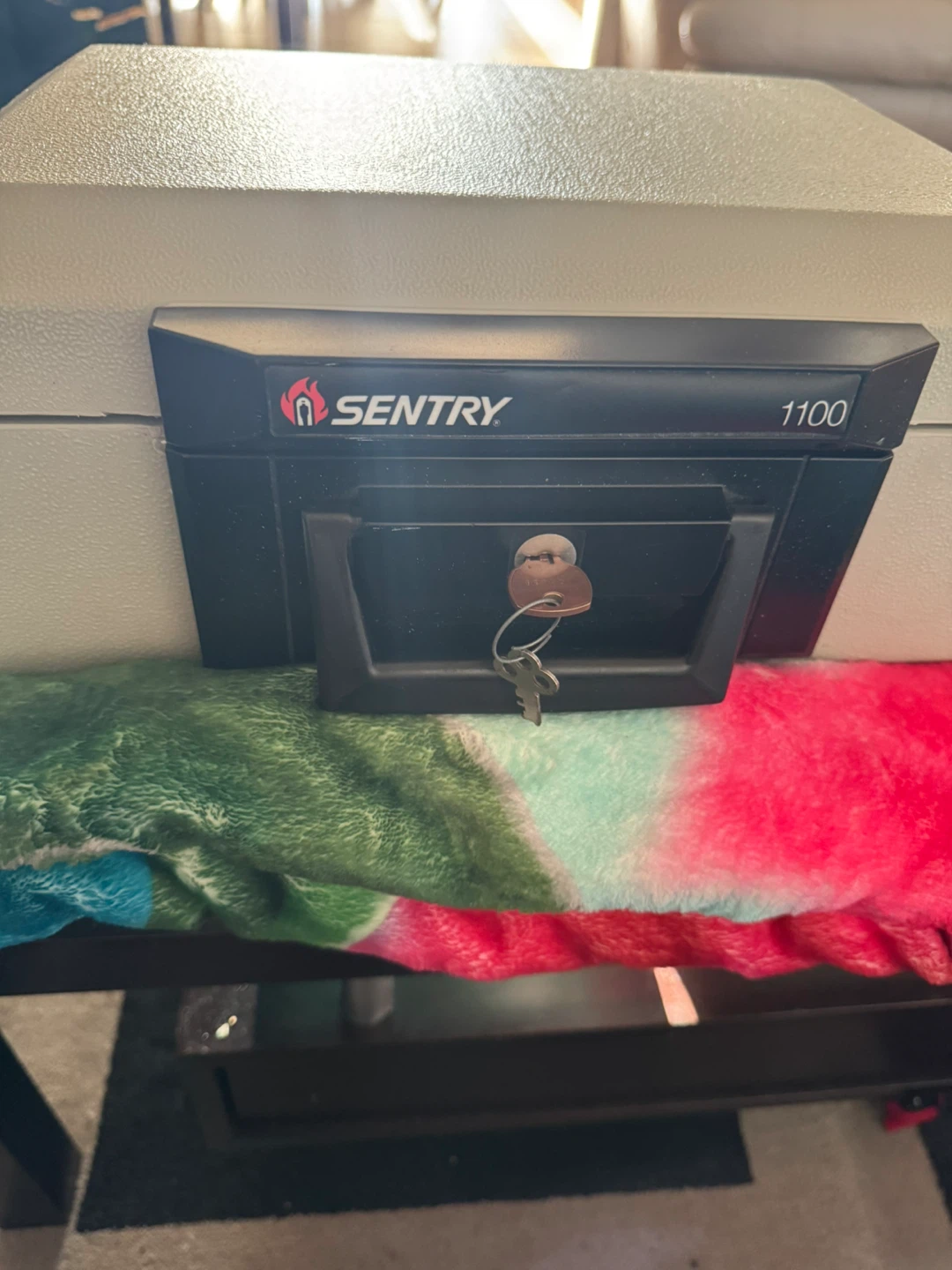 SentrySafe 1100 Fire Safe Box