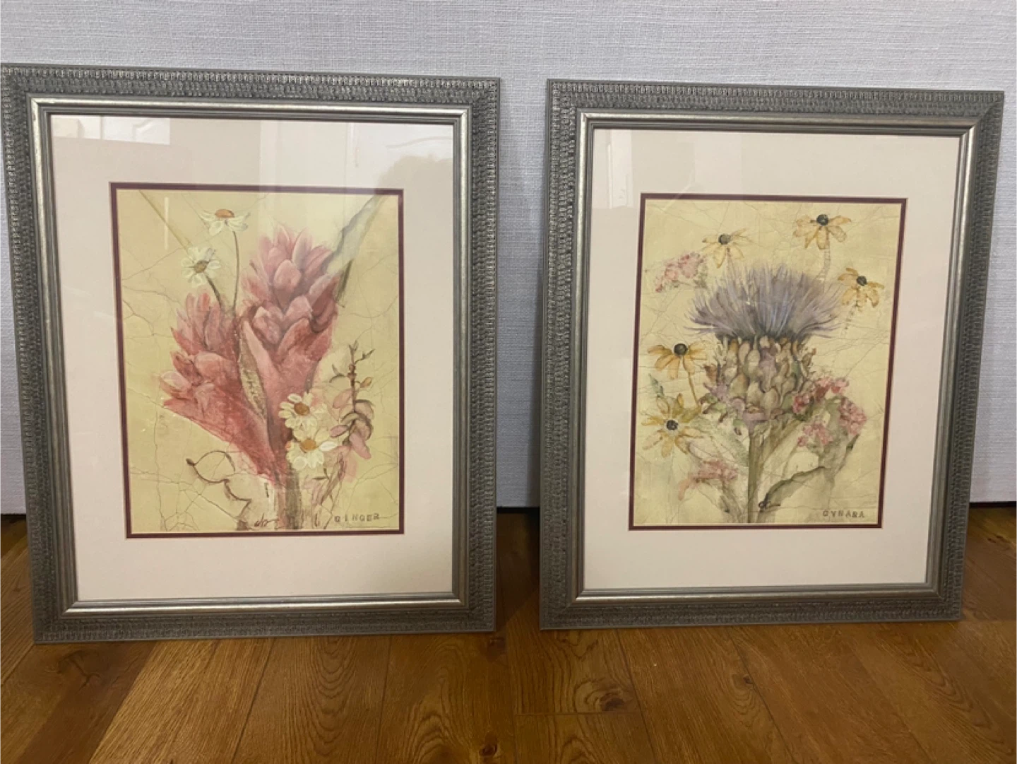 Set of 2 Framed Botanical Prints