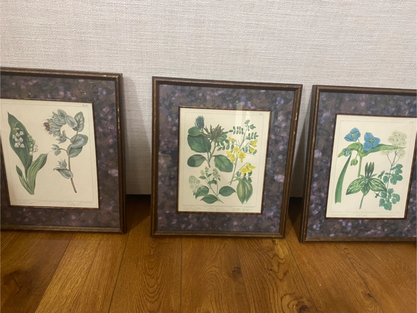 Set of 3 Botanical Prints