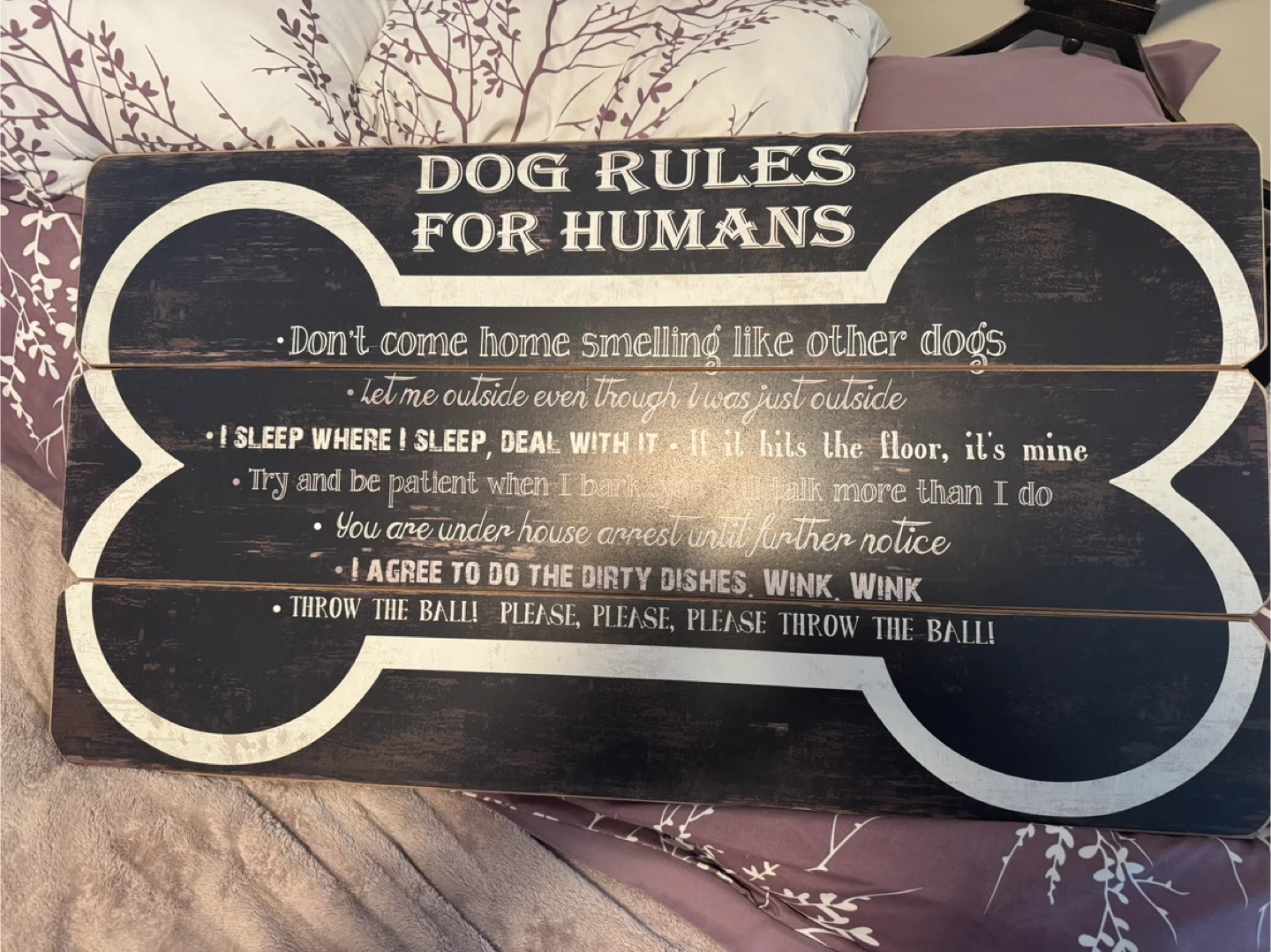 Dog Rules for Humans Decorative Sign