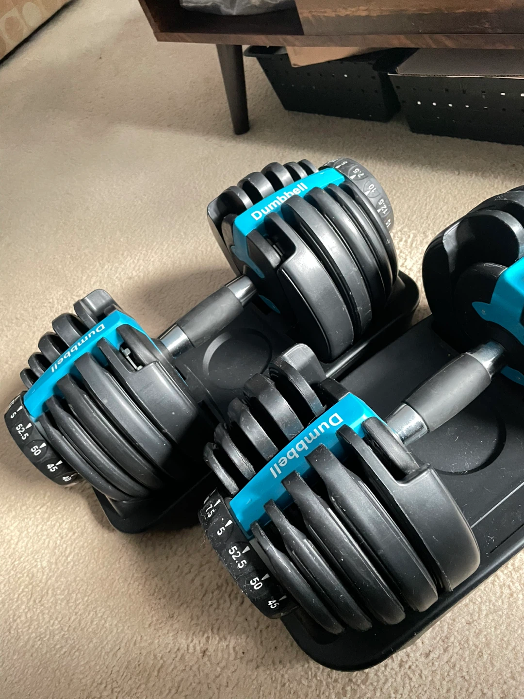 Adjustable Dumbbells (Pair) - 52.5 lbs - photo 2