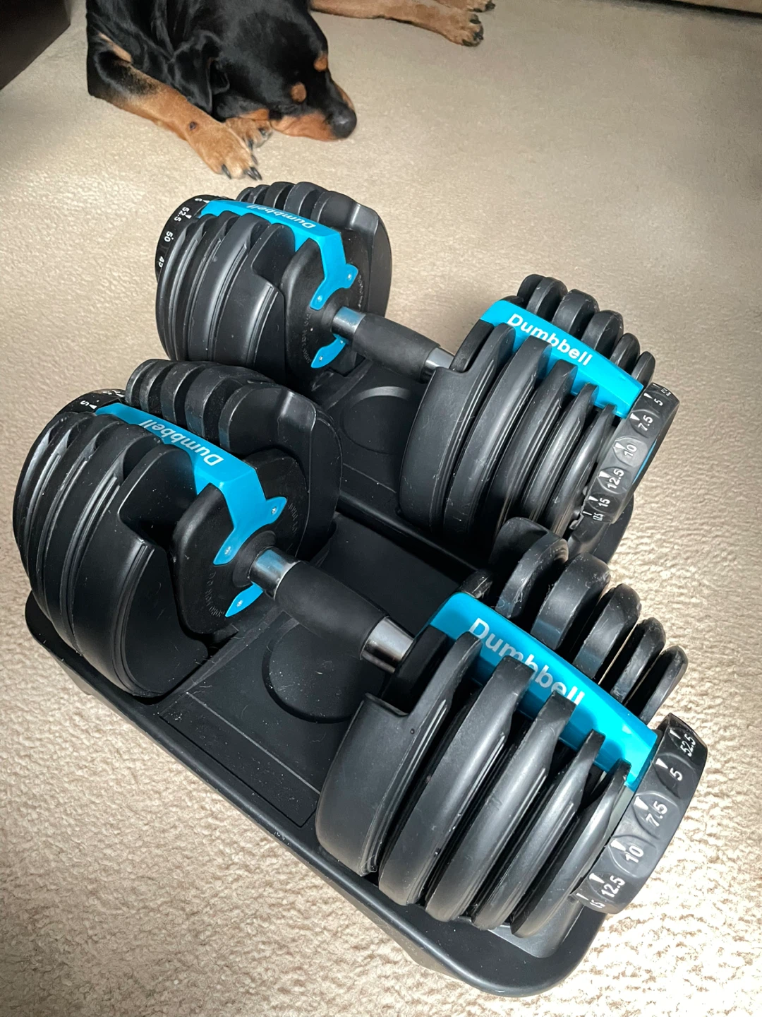 Adjustable Dumbbells (Pair) - 52.5 lbs