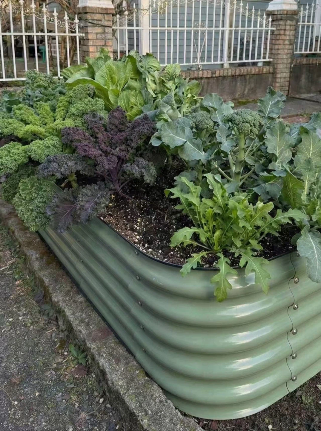 New Metal Raised Garden Bed 17” Tall (4 Colors,Modular)