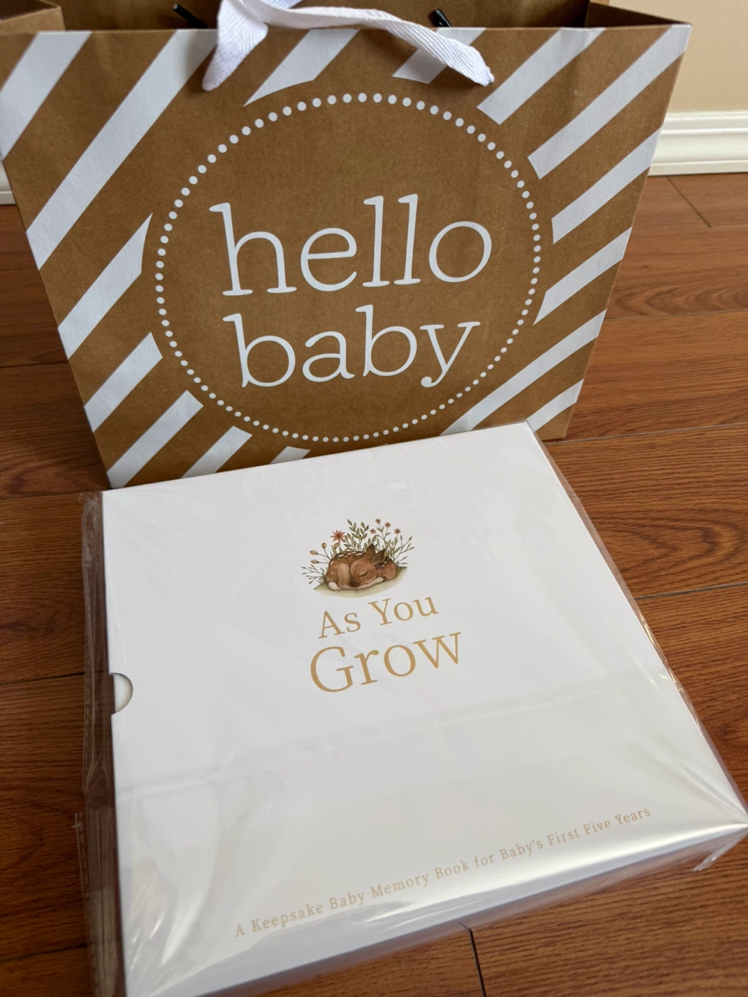 Baby keepsake/memory book