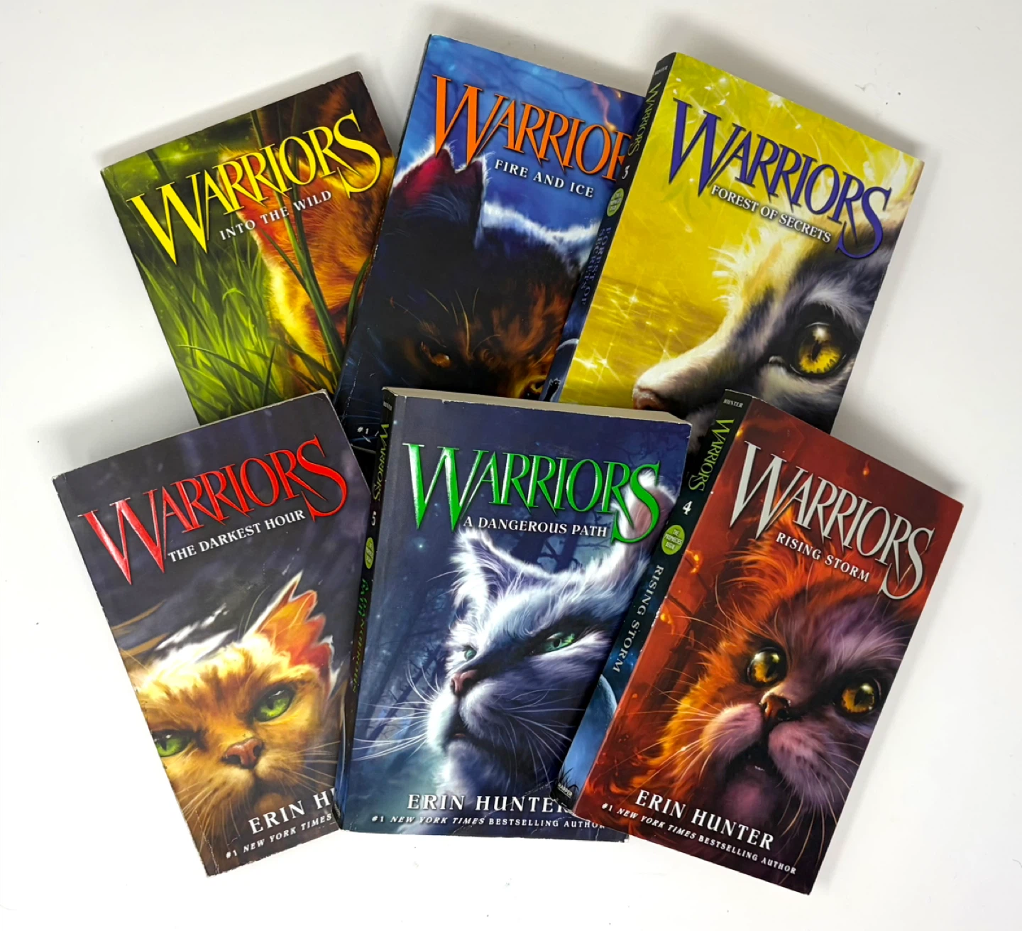 Warriors Book Series by Erin Hunter