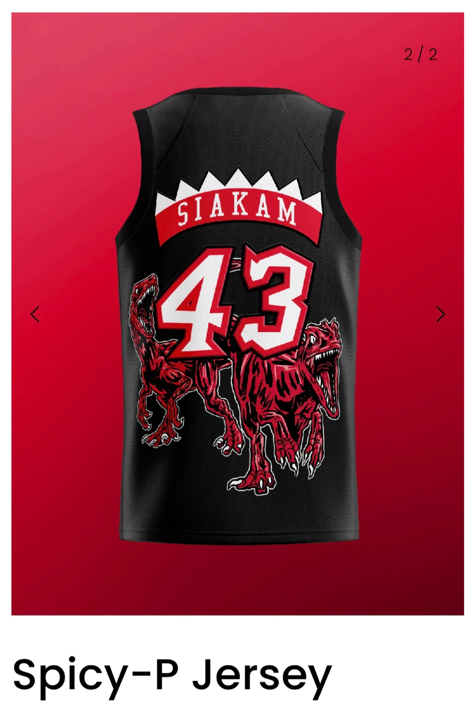 Luc Samanski Toronto Raptors "Spicy-P" Jersey - Size L - photo 4