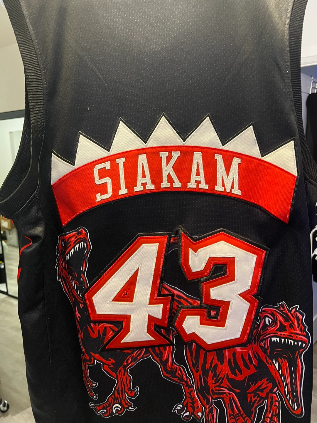 Luc Samanski Toronto Raptors "Spicy-P" Jersey - Size L - photo 3