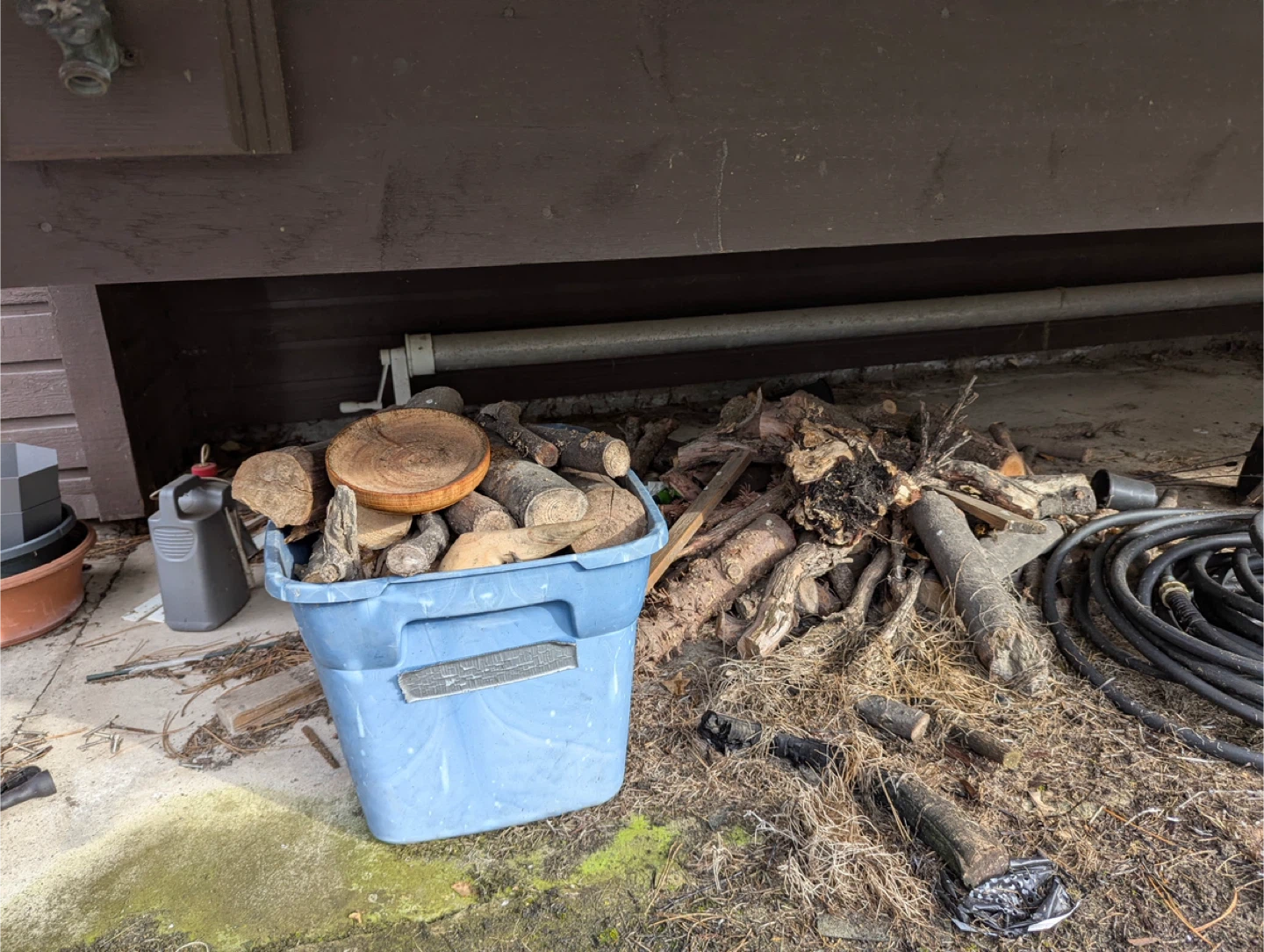 FREE Firewood Logs