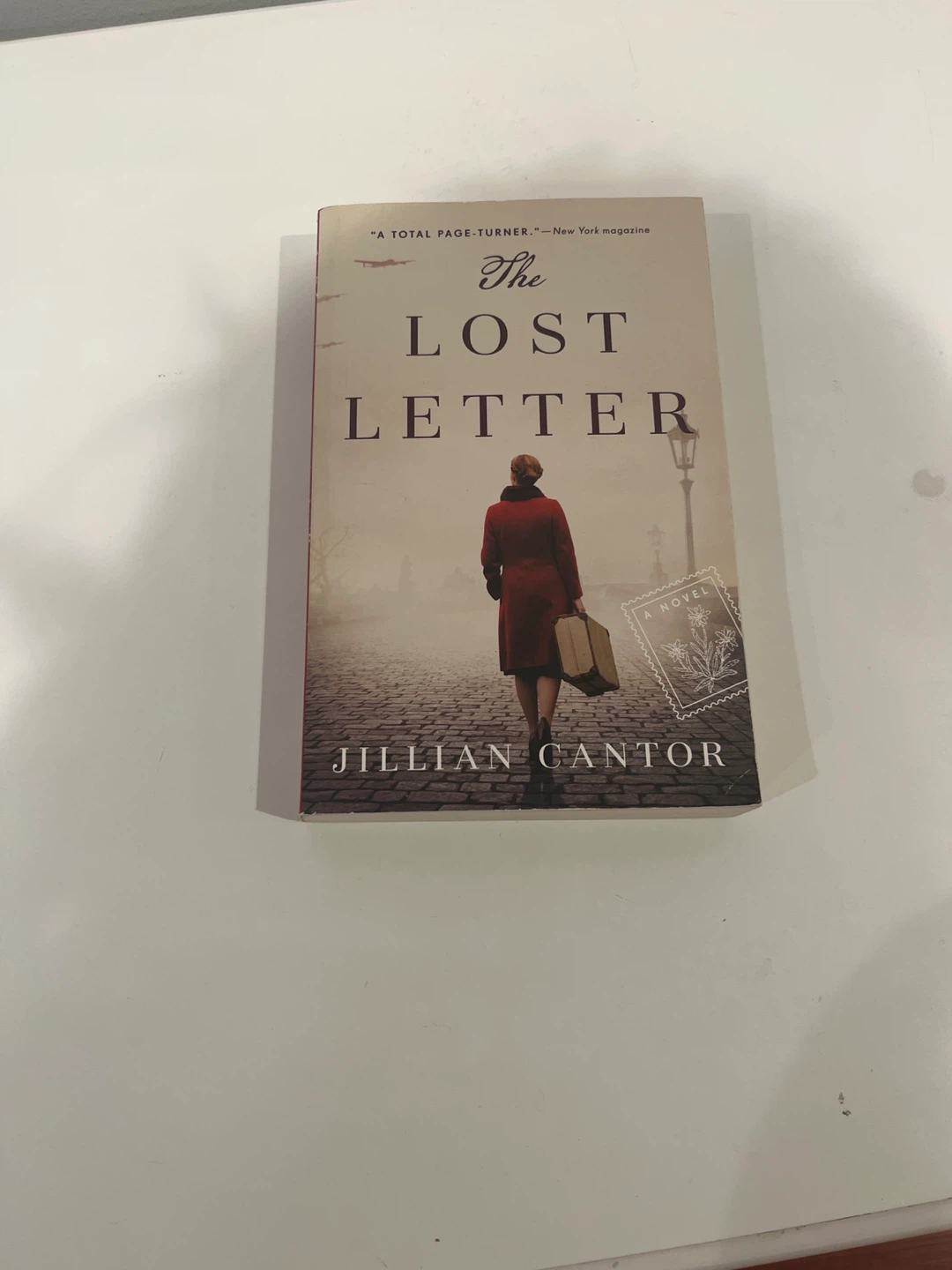 🧡The Lost Letter A Novel by Jillian Cantor Paperback🧡