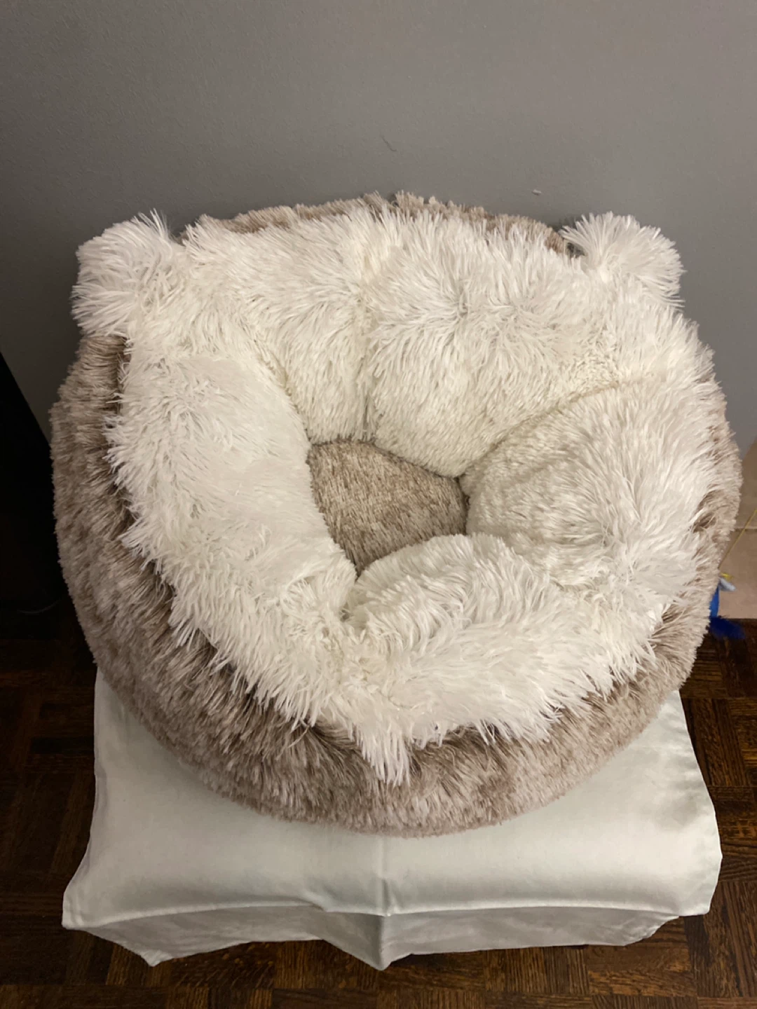 Cat Bed
