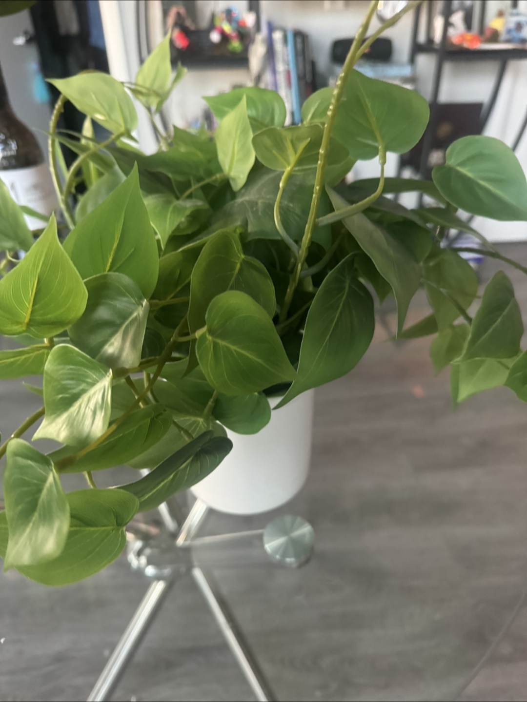 Artificial Pothos Plant in White Pot🧡
