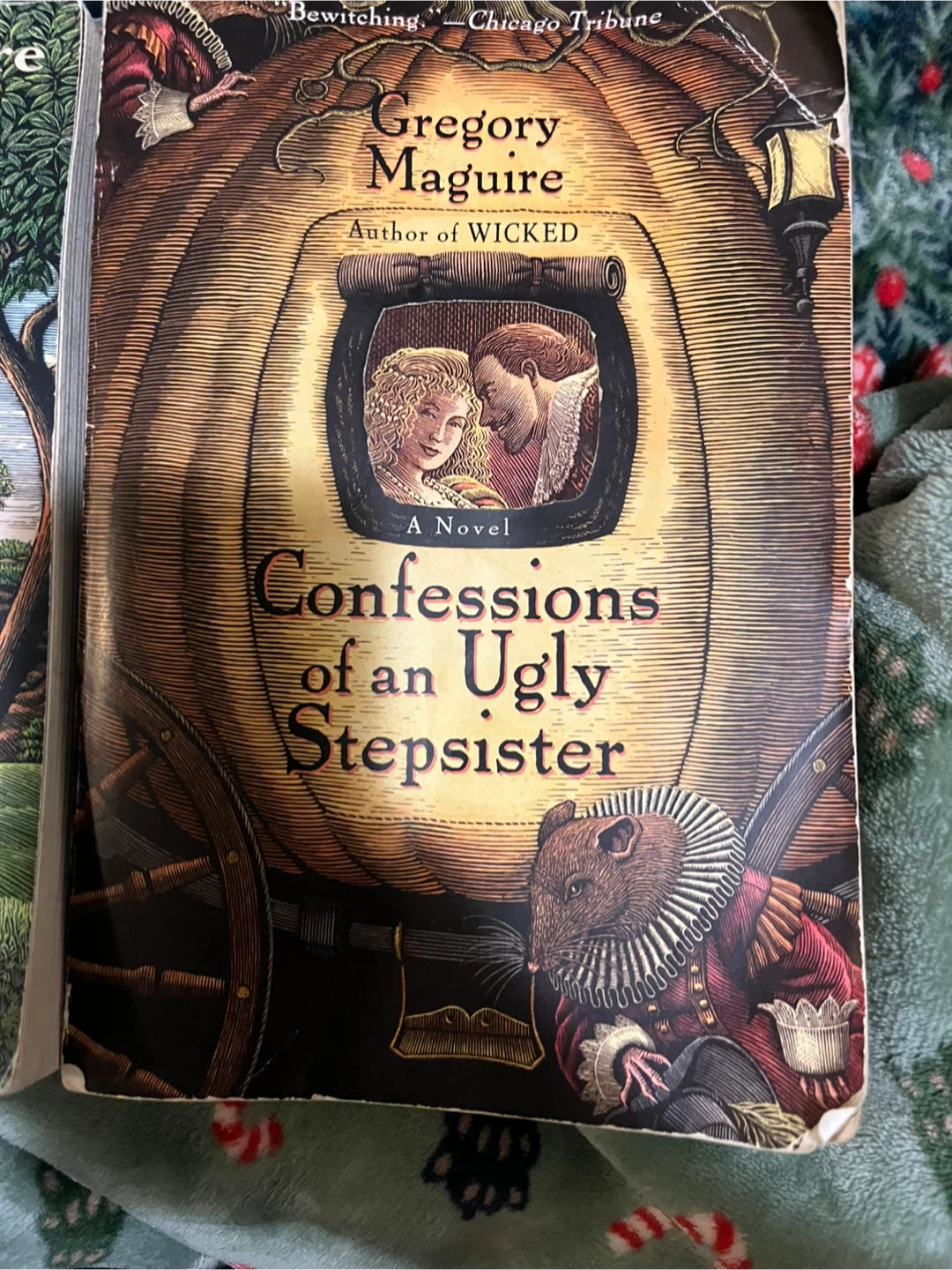 One for $9- Mirror Mirror or Confessions of an ugly stepsister - photo 3