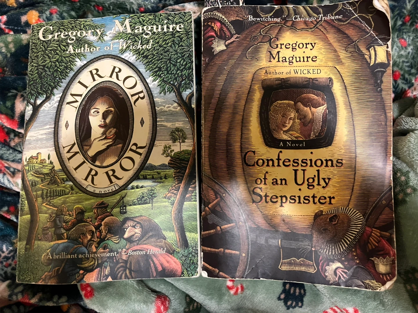 One for $9- Mirror Mirror or Confessions of an ugly stepsister