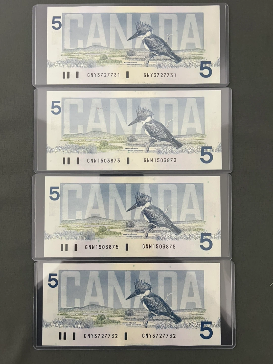 5$ Dollar Paper Bills - photo 2