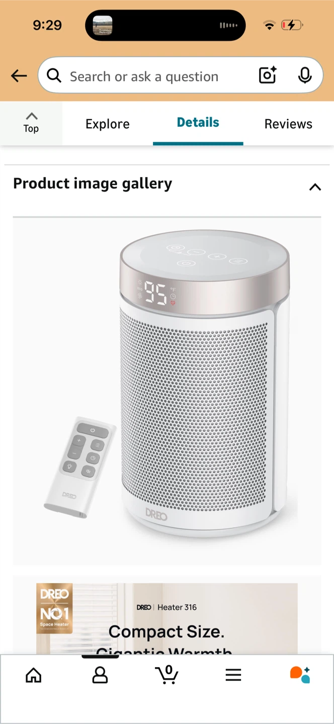 Space Heater with Remote