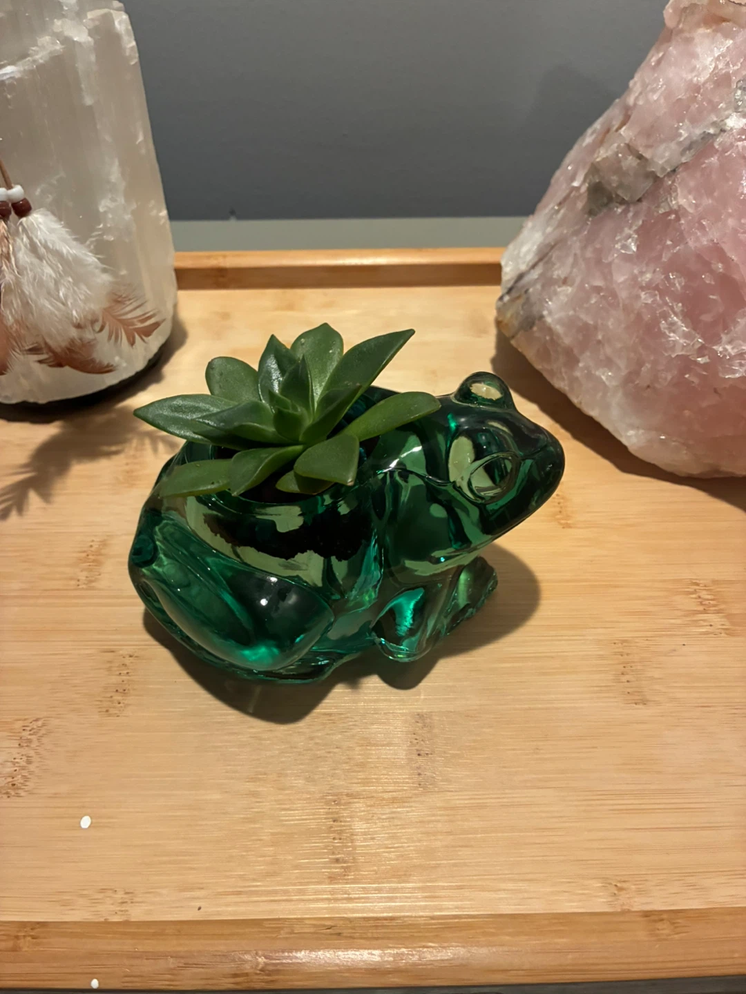 Green Glass Frog Succulent Planter