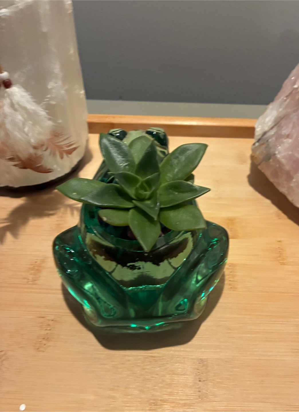 Green Glass Frog Succulent Planter - photo 4