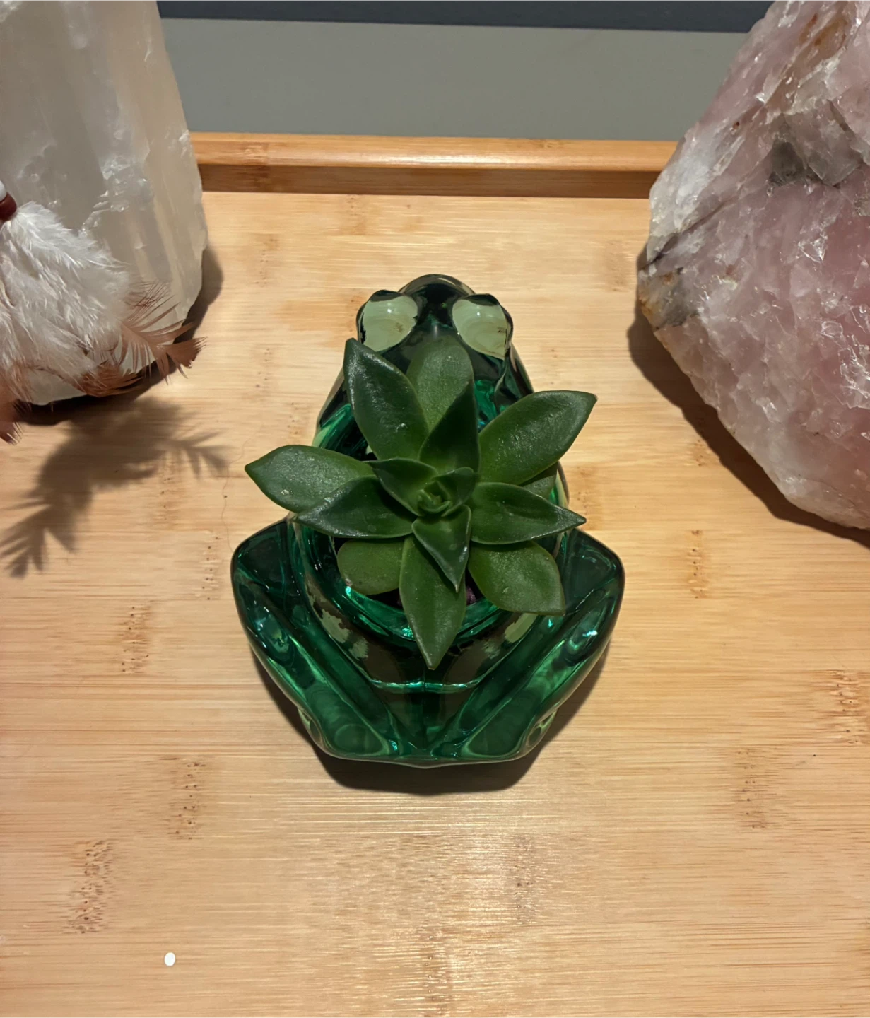 Green Glass Frog Succulent Planter - photo 5