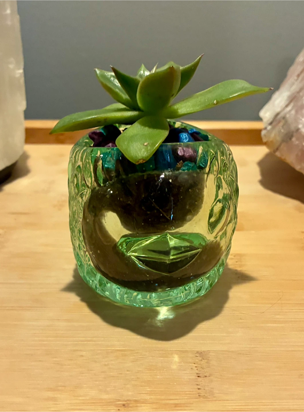 Glass Fish Planter with Succulent - photo 3