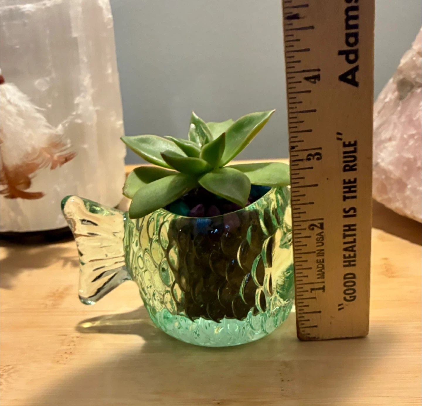 Glass Fish Planter with Succulent - photo 5